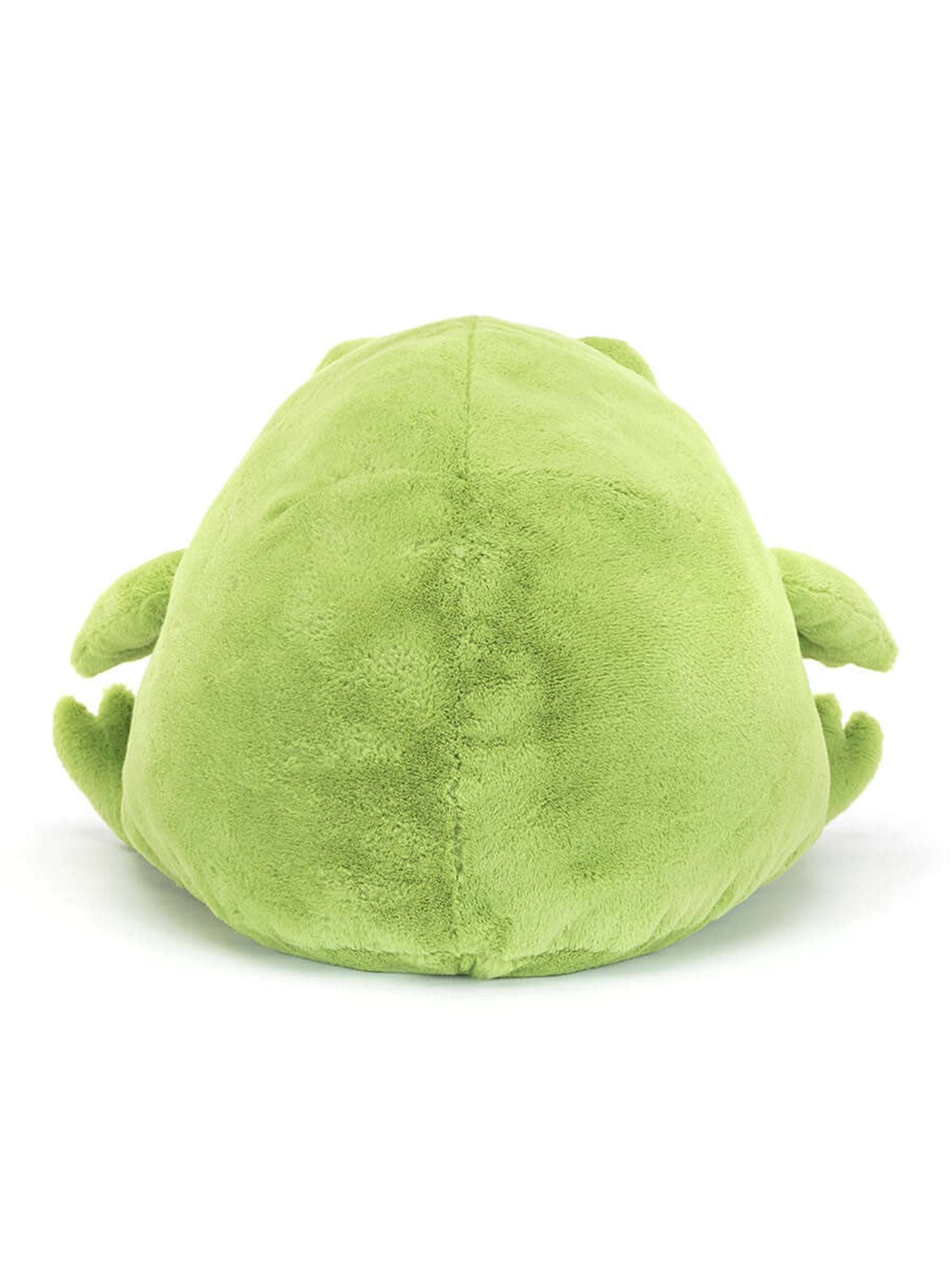 Ricky Rain Frog