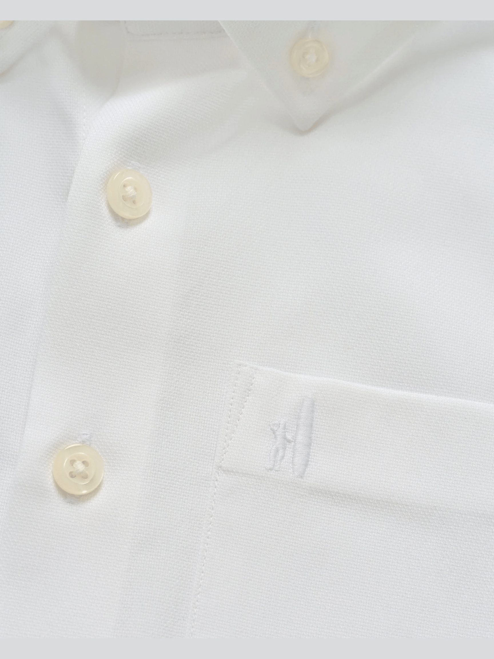 Everyday Performance Jr. Button Down Shirt - Travis