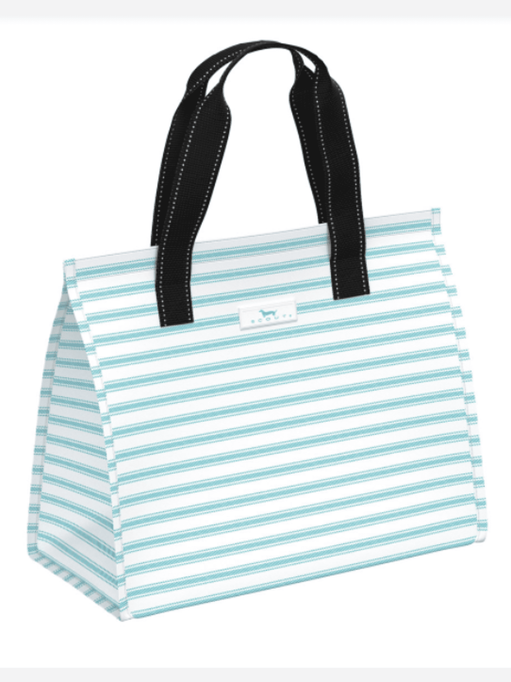 Nice Ice Baby Soft Cooler