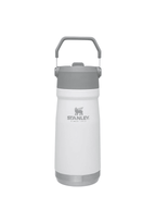 Iceflow Flip Straw Water Bottle