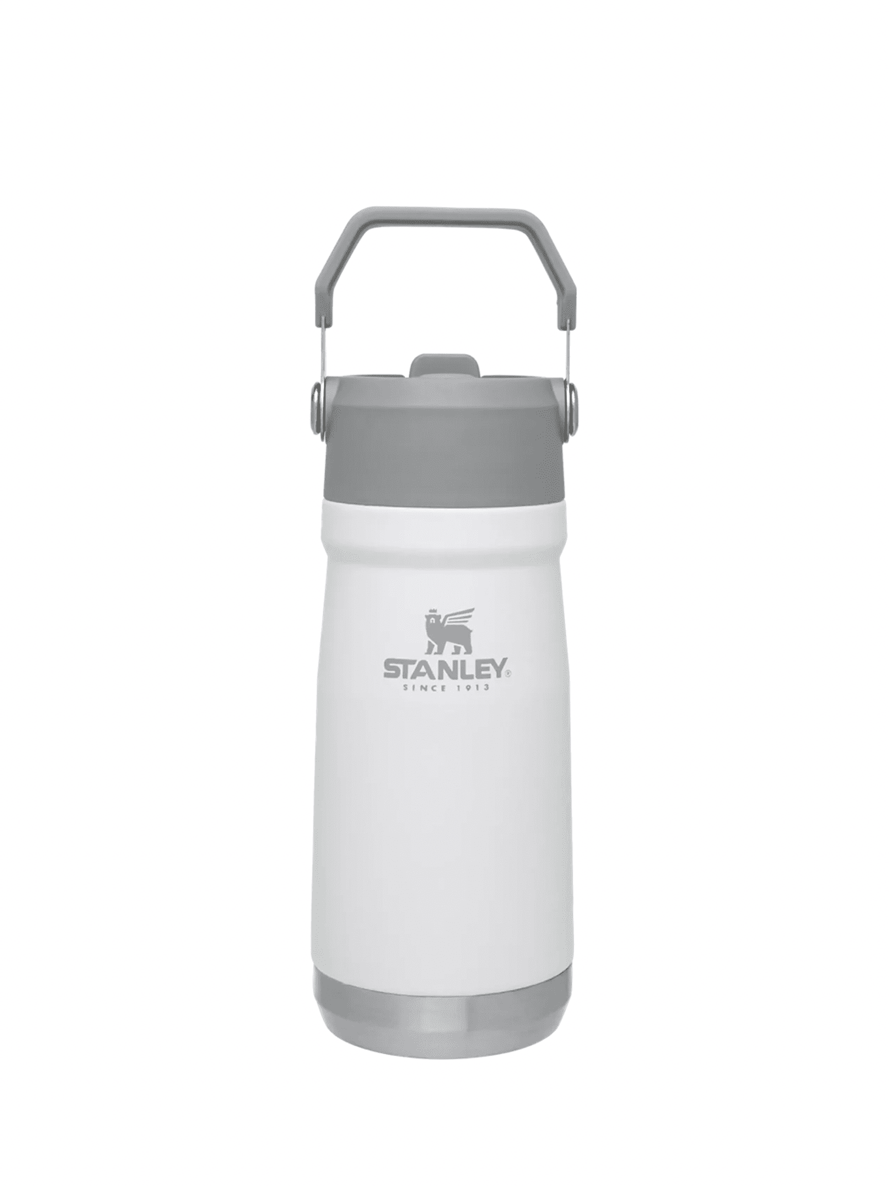 Iceflow Flip Straw Water Bottle