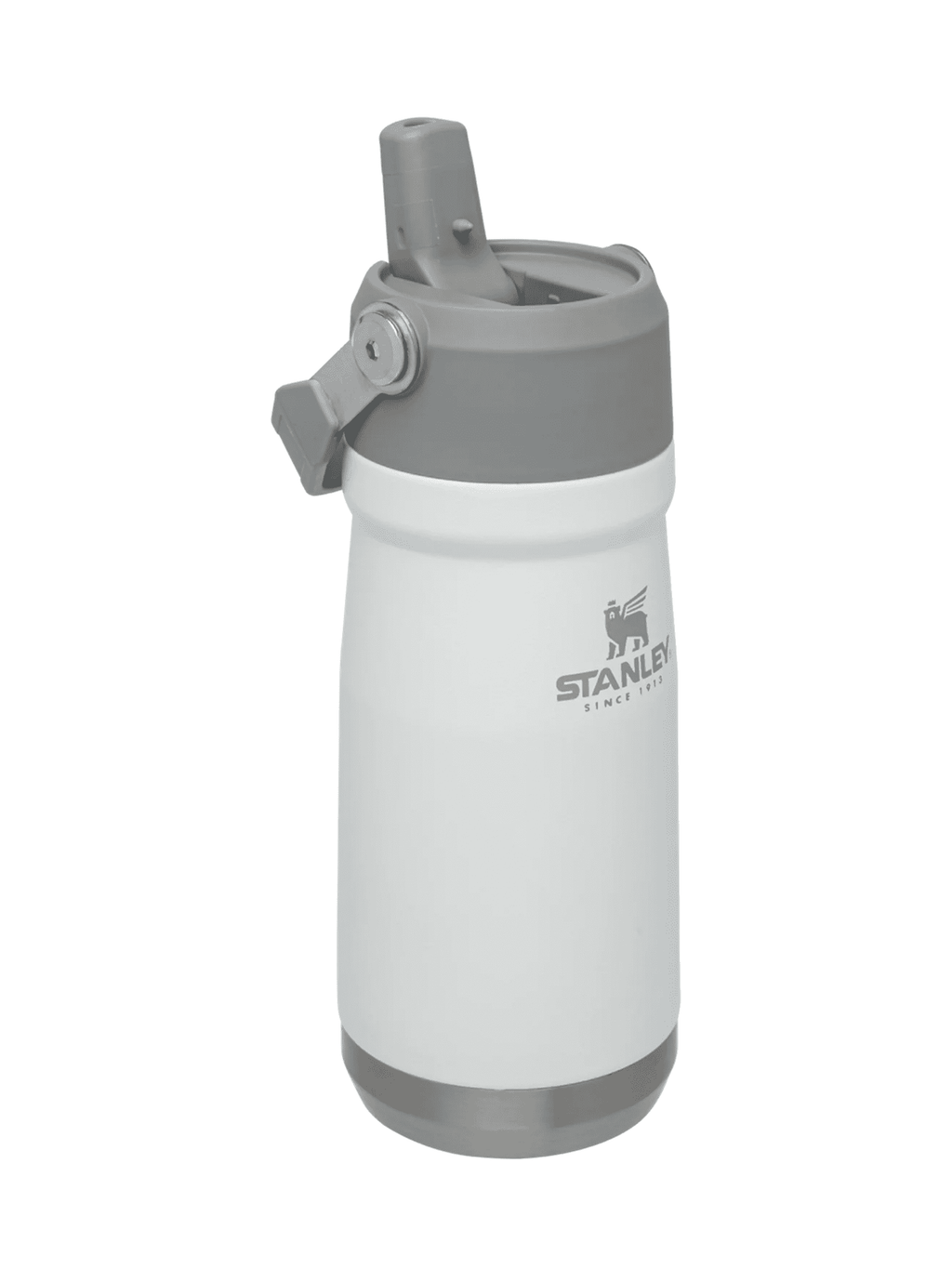 Iceflow Flip Straw Water Bottle