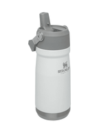 Iceflow Flip Straw Water Bottle
