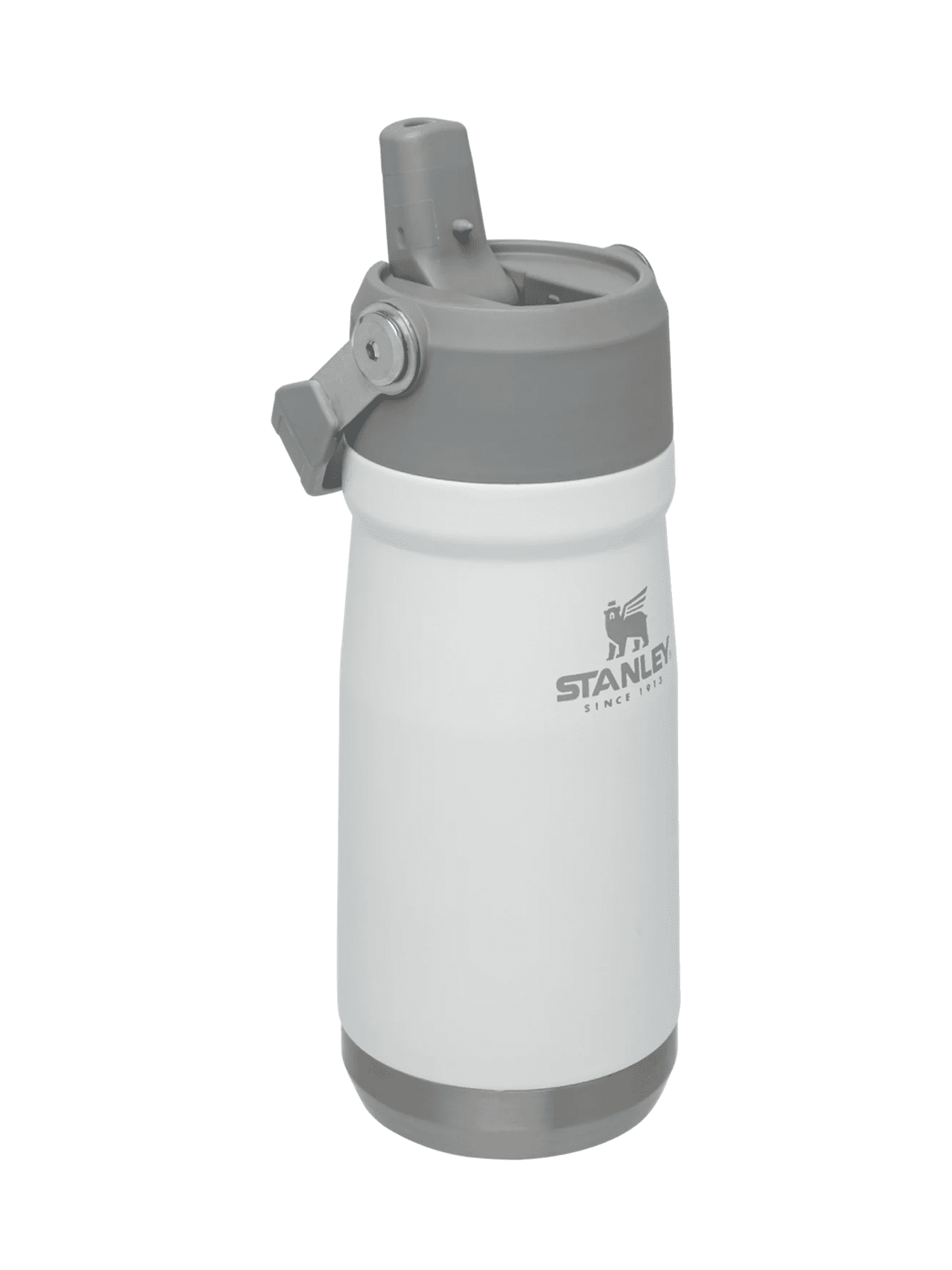 Iceflow Flip Straw Water Bottle