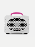 Turtlebox Gen 2 Speaker