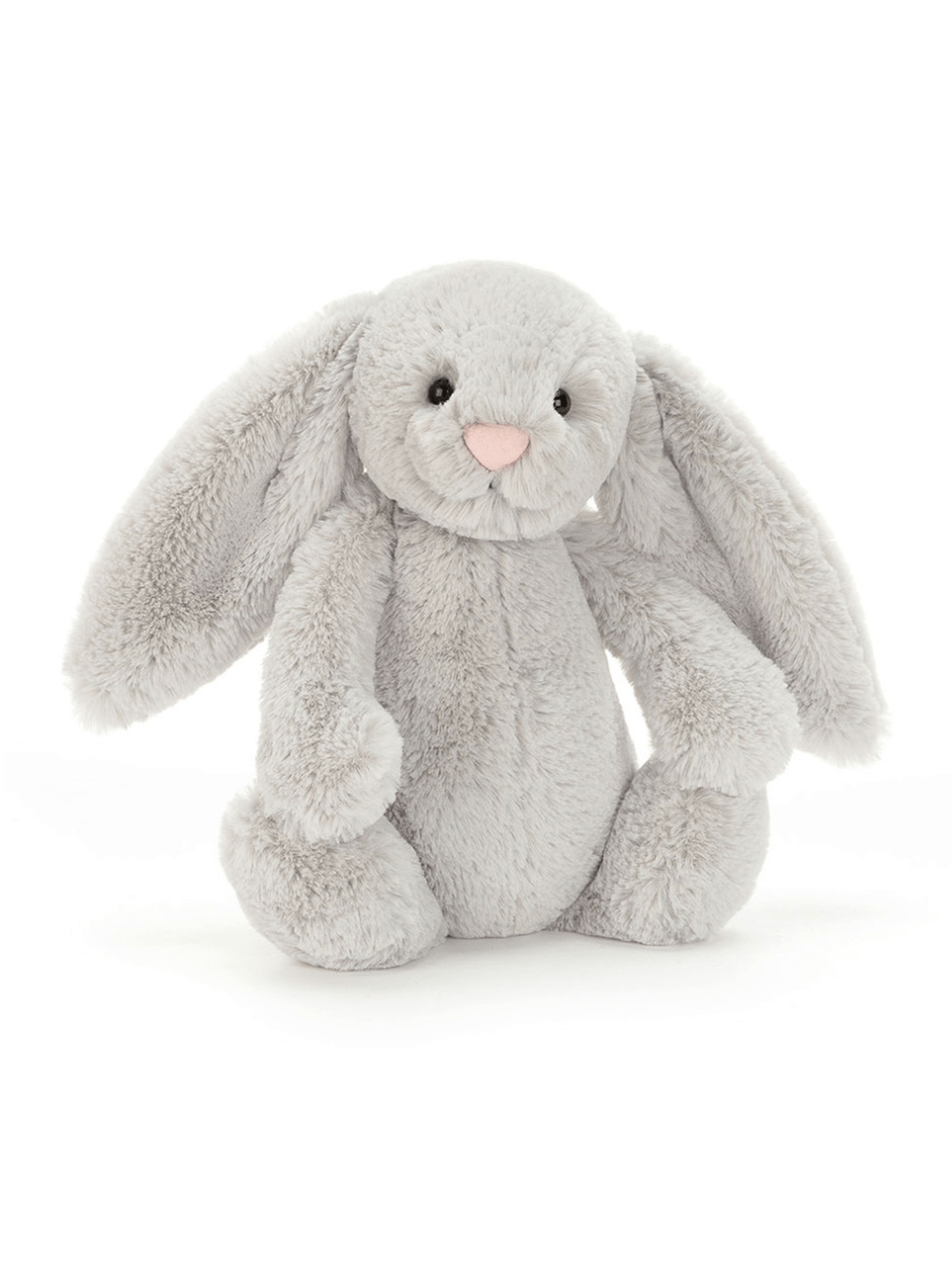 Bashful Bunny