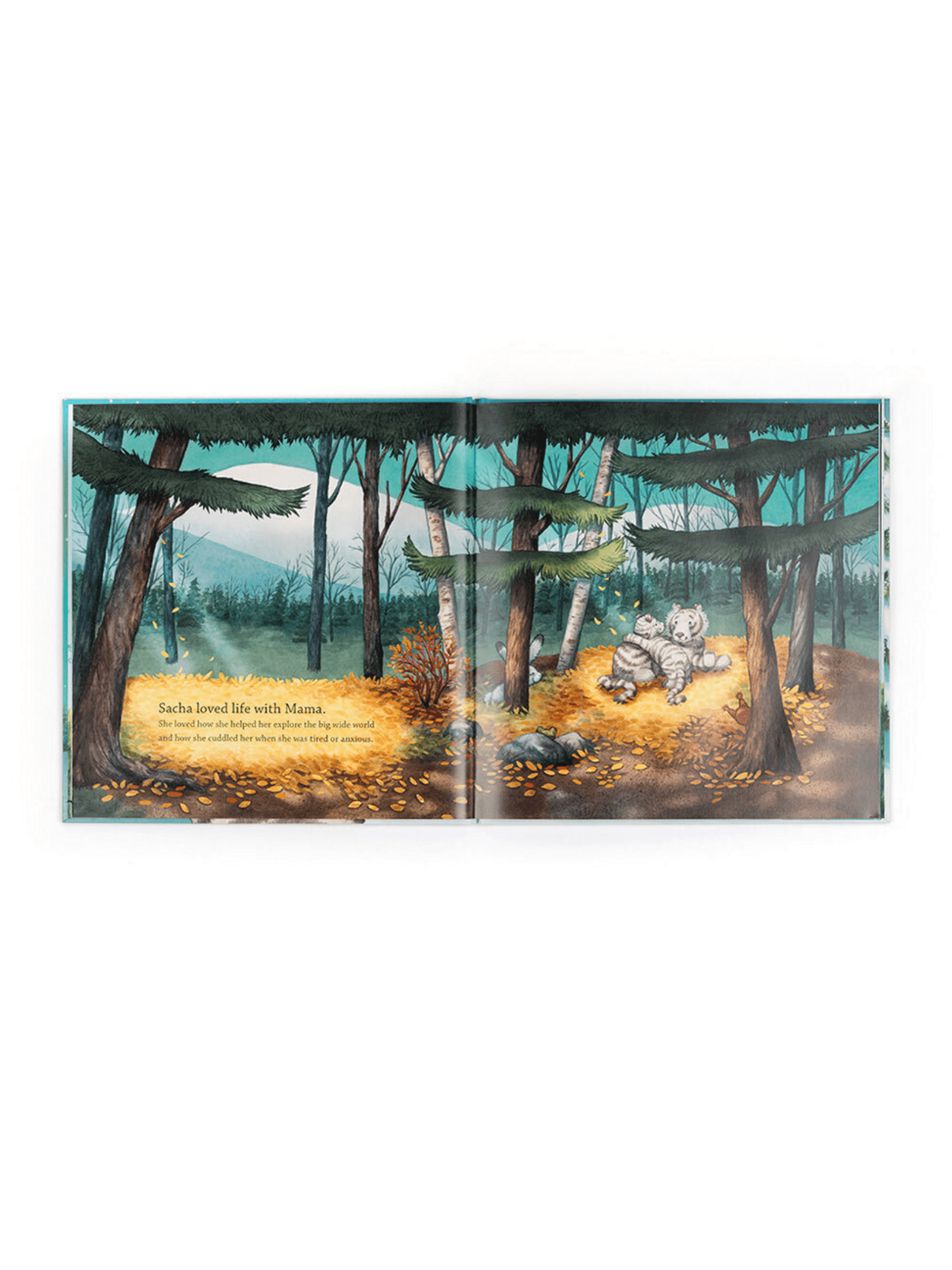 Sacha And The Most Wonderful Thing Book