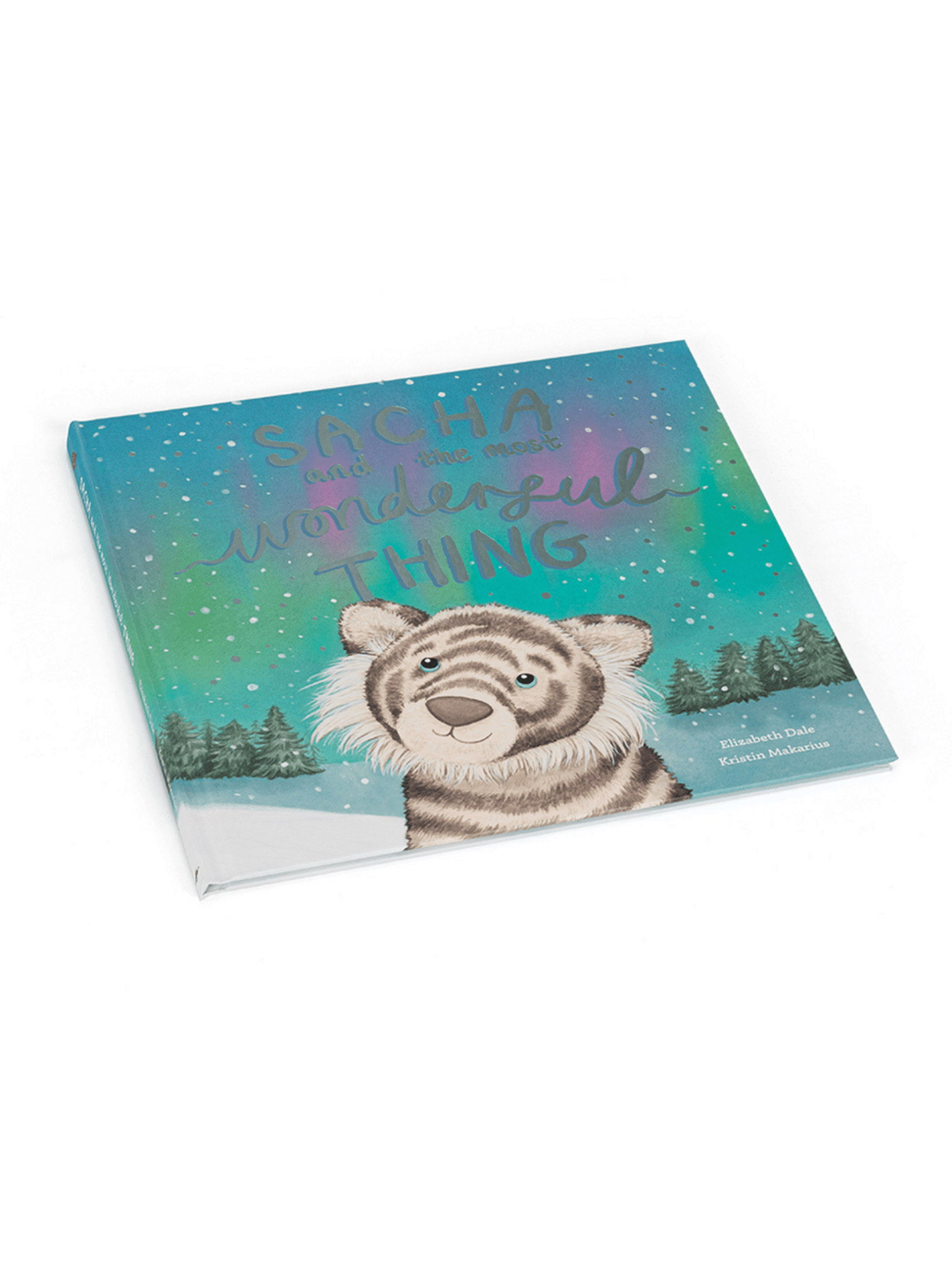 Sacha And The Most Wonderful Thing Book