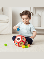 Shape Sorter Developmental Recolor