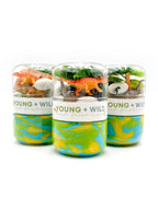 Dinosaur Grab & Go Dough Jar