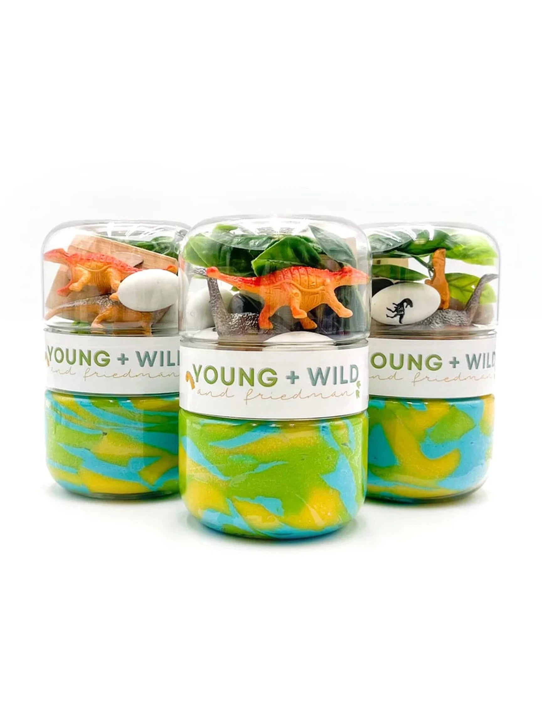 Dinosaur Grab & Go Dough Jar