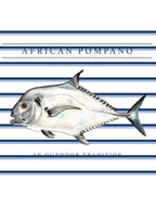 PRE-ORDER Kid's Pro Performance Hoodie T-Shirt