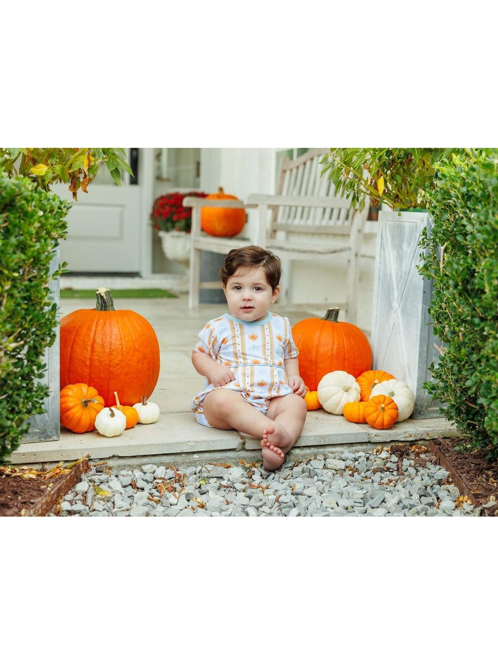 Pumpkin Patch SS Bubble