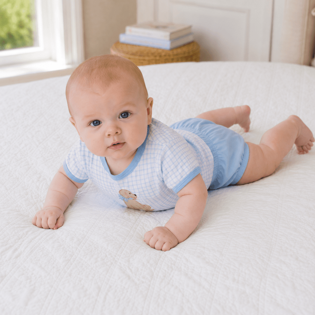 Puppy Playtime Applique Diaper Cover Set - Light Blue