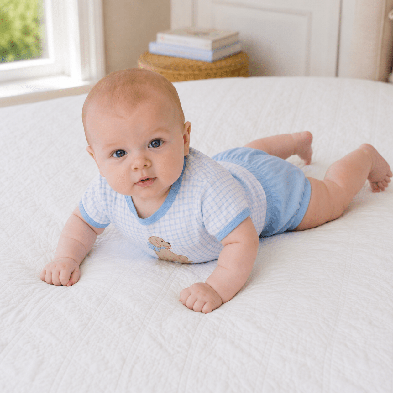 Puppy Playtime Applique Diaper Cover Set - Light Blue