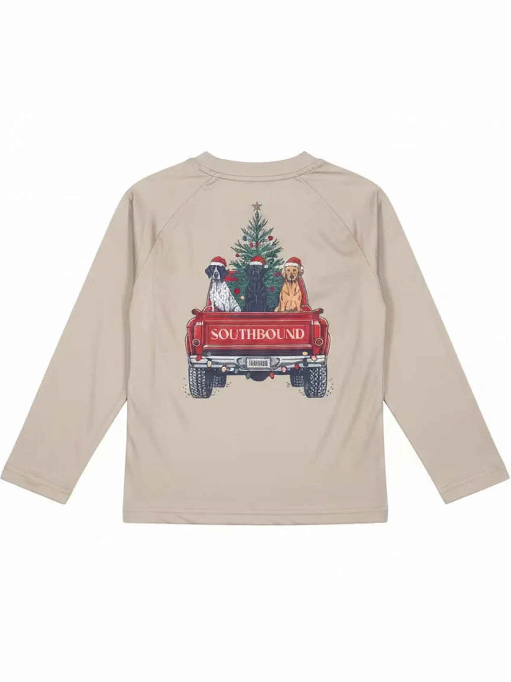 Performance Long Sleeve Tee- Christmas Truck