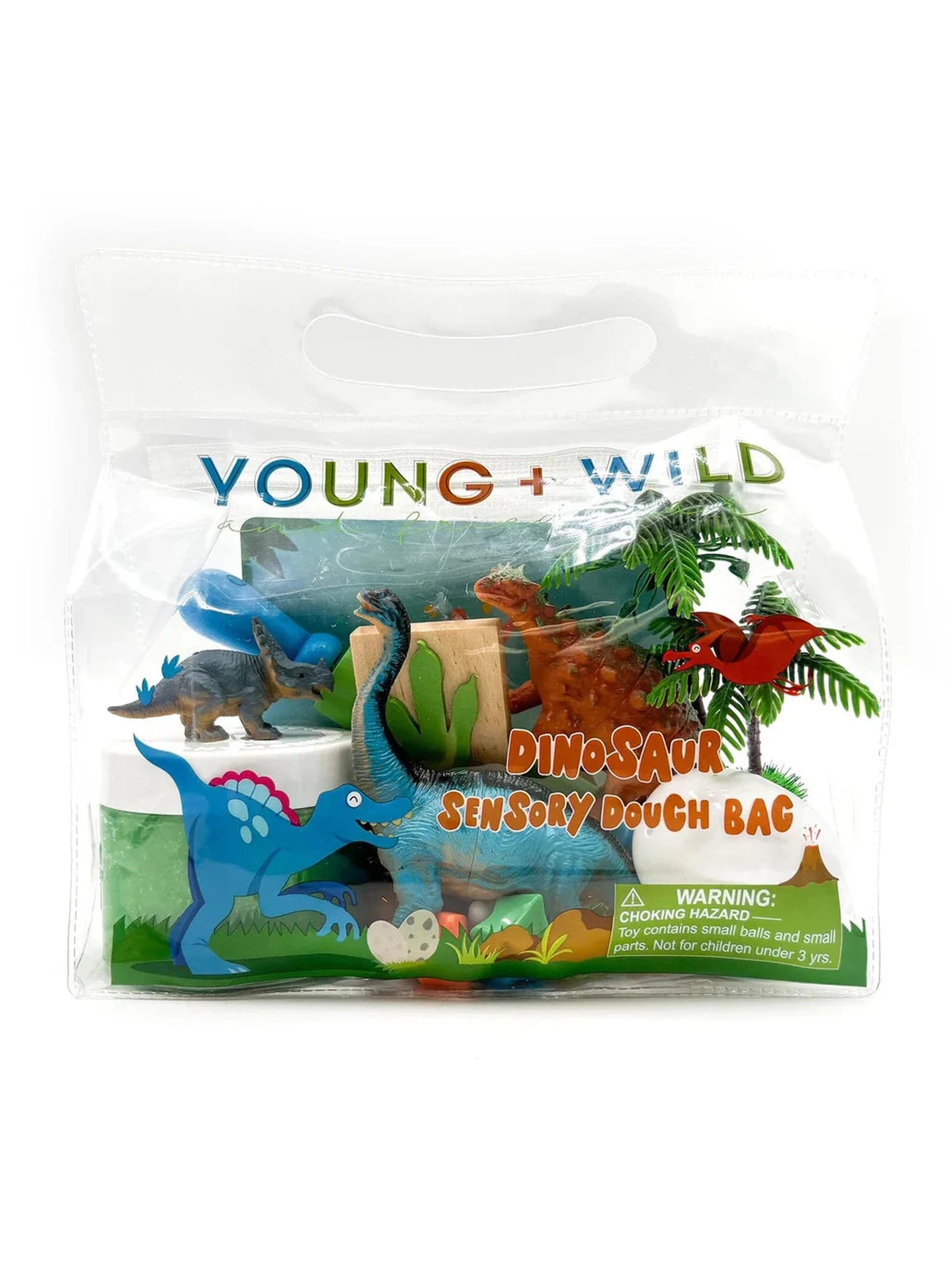 Dinosaur Sensory Dough Bag - Posh Tots Children's Boutique