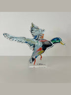 Take Flight Mallard Duck Acrylic