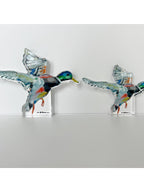 Take Flight Mallard Duck Acrylic