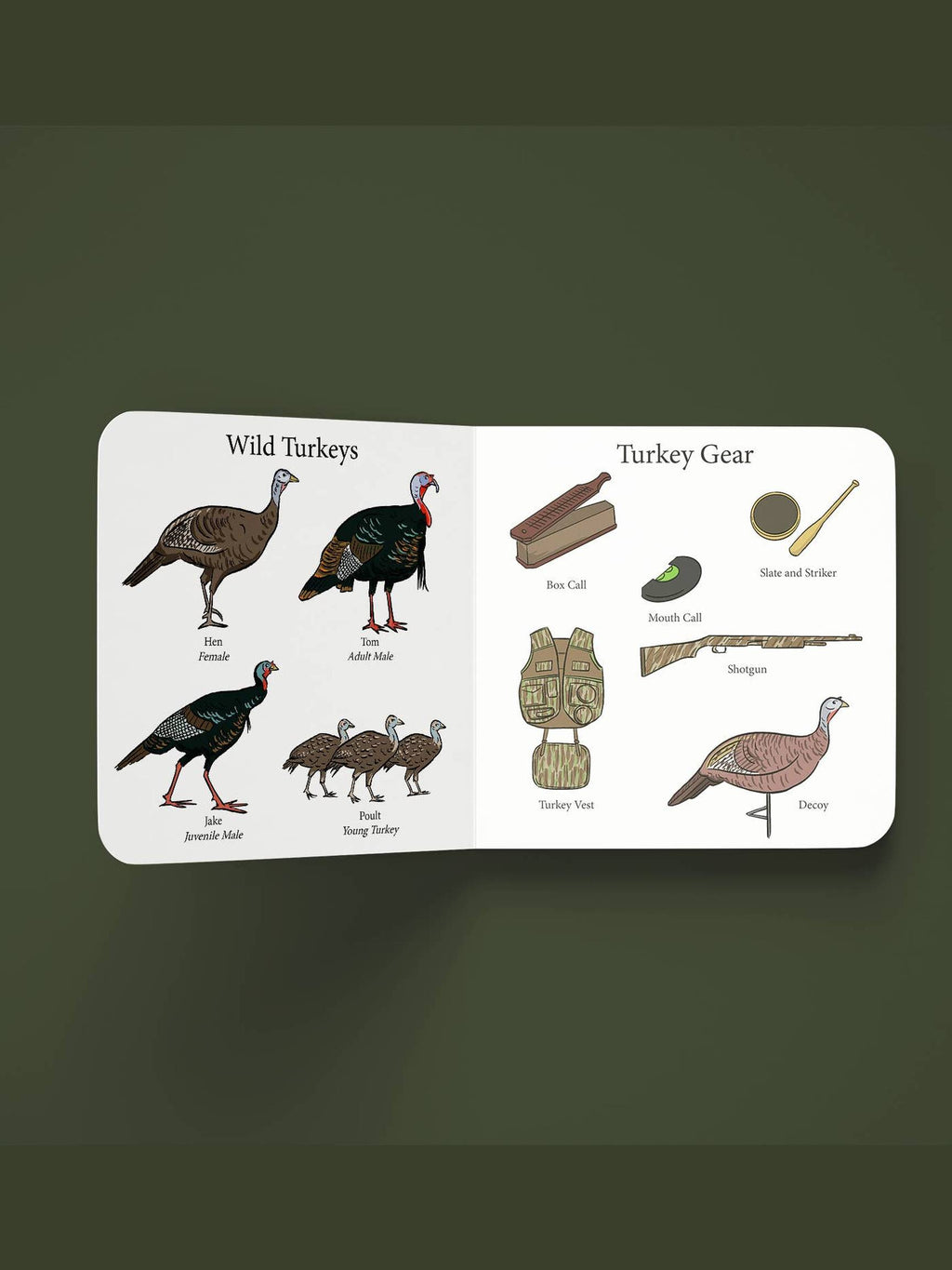 Turkey Season Children's Book