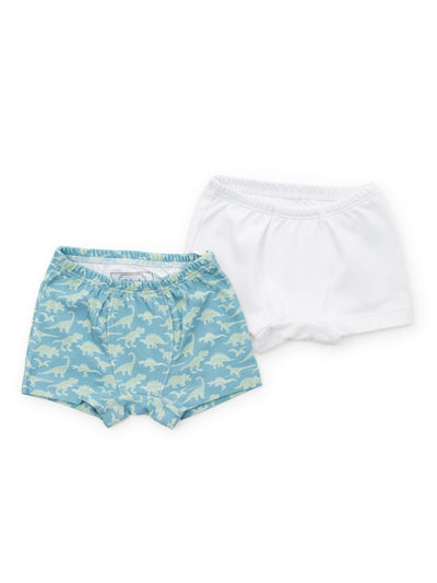 PRE-ORDER James Underwear Set - Dinosaur Dig