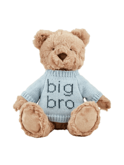 Big Brother Plush Bear