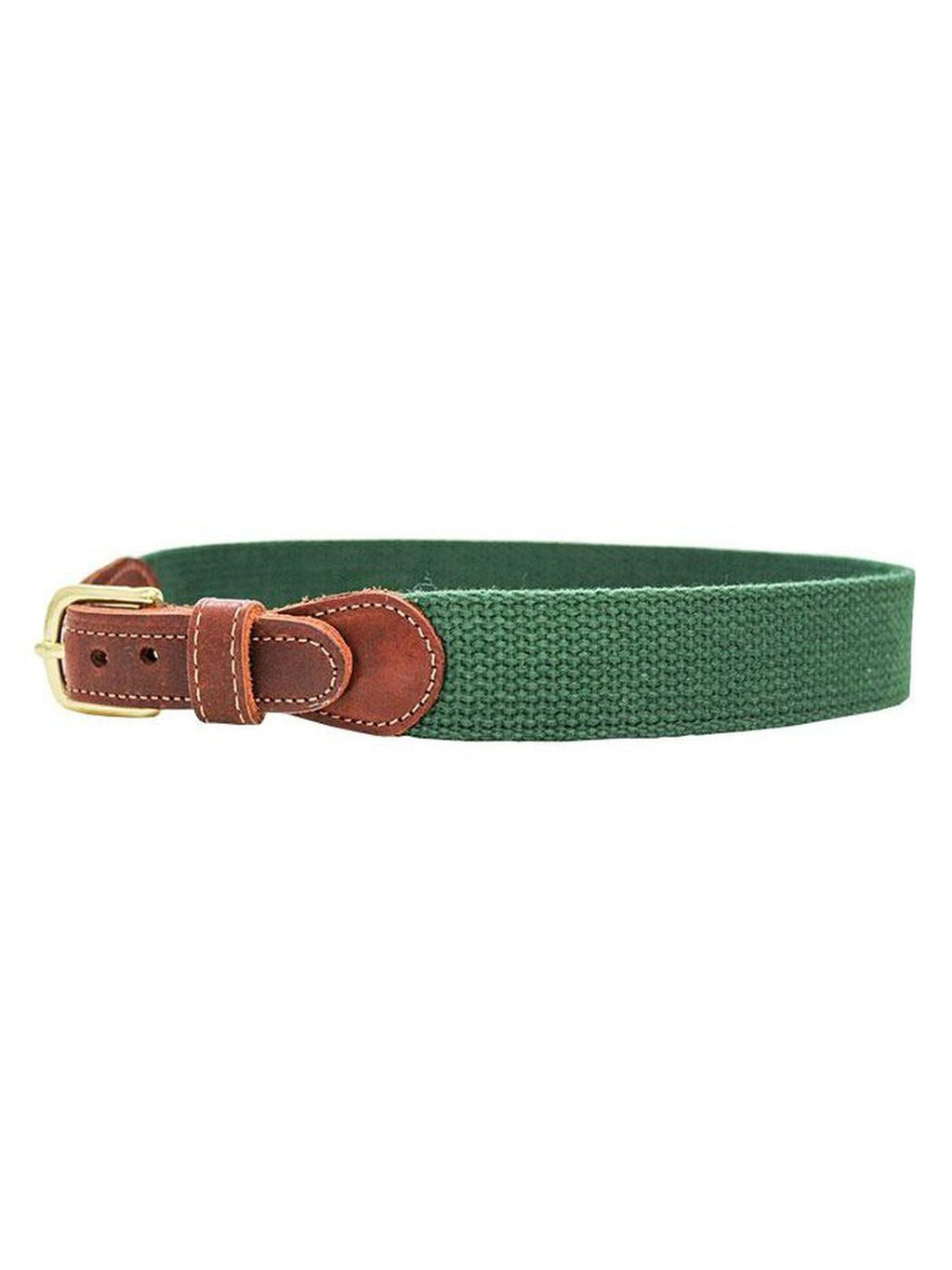 Buddy Belt-Solid Canvas