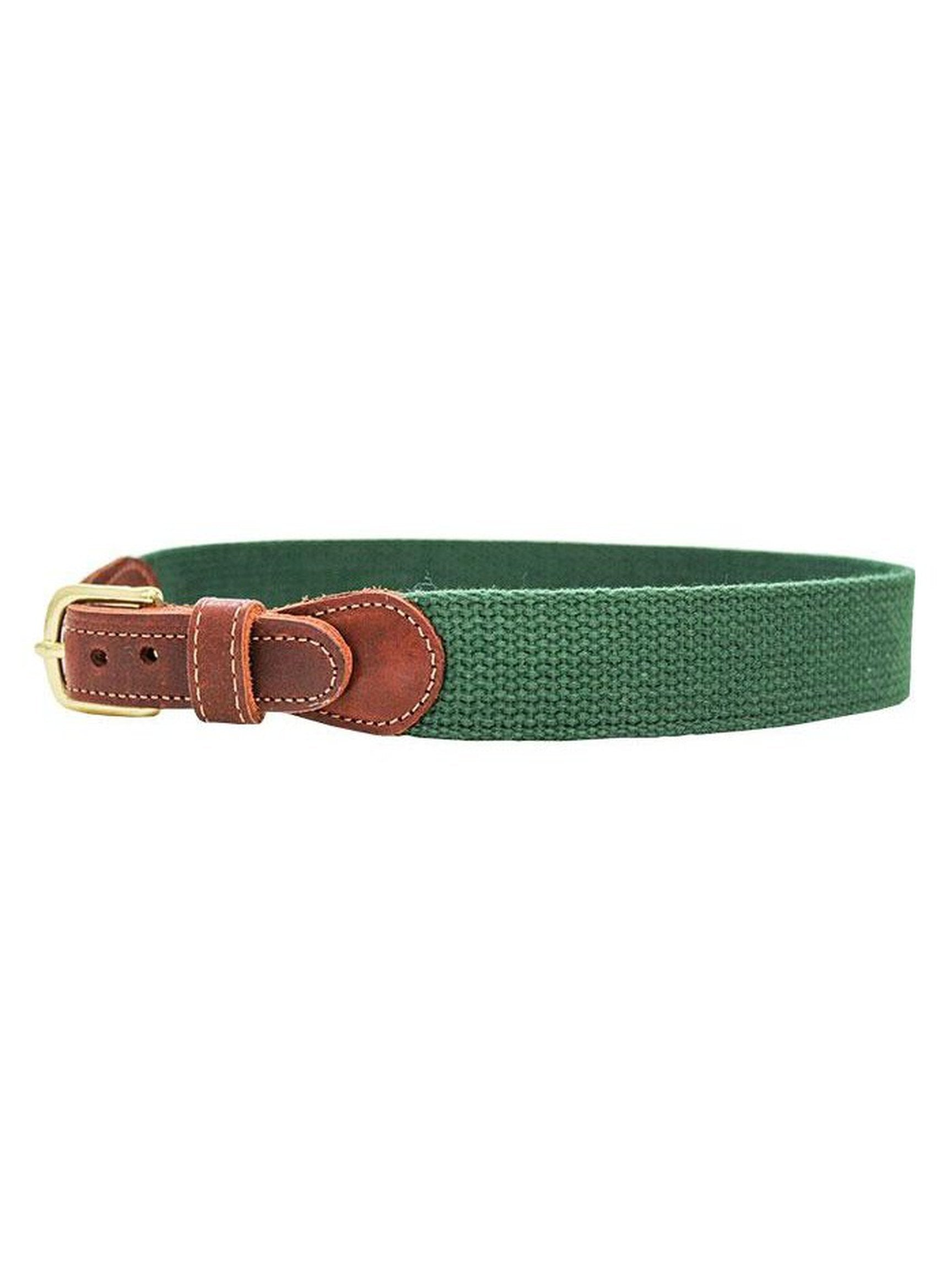 Buddy Belt-Solid Canvas
