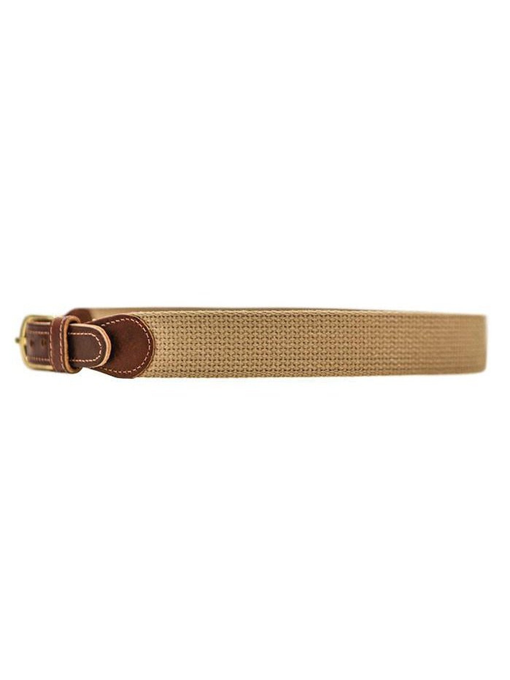 Buddy Belt-Solid Canvas