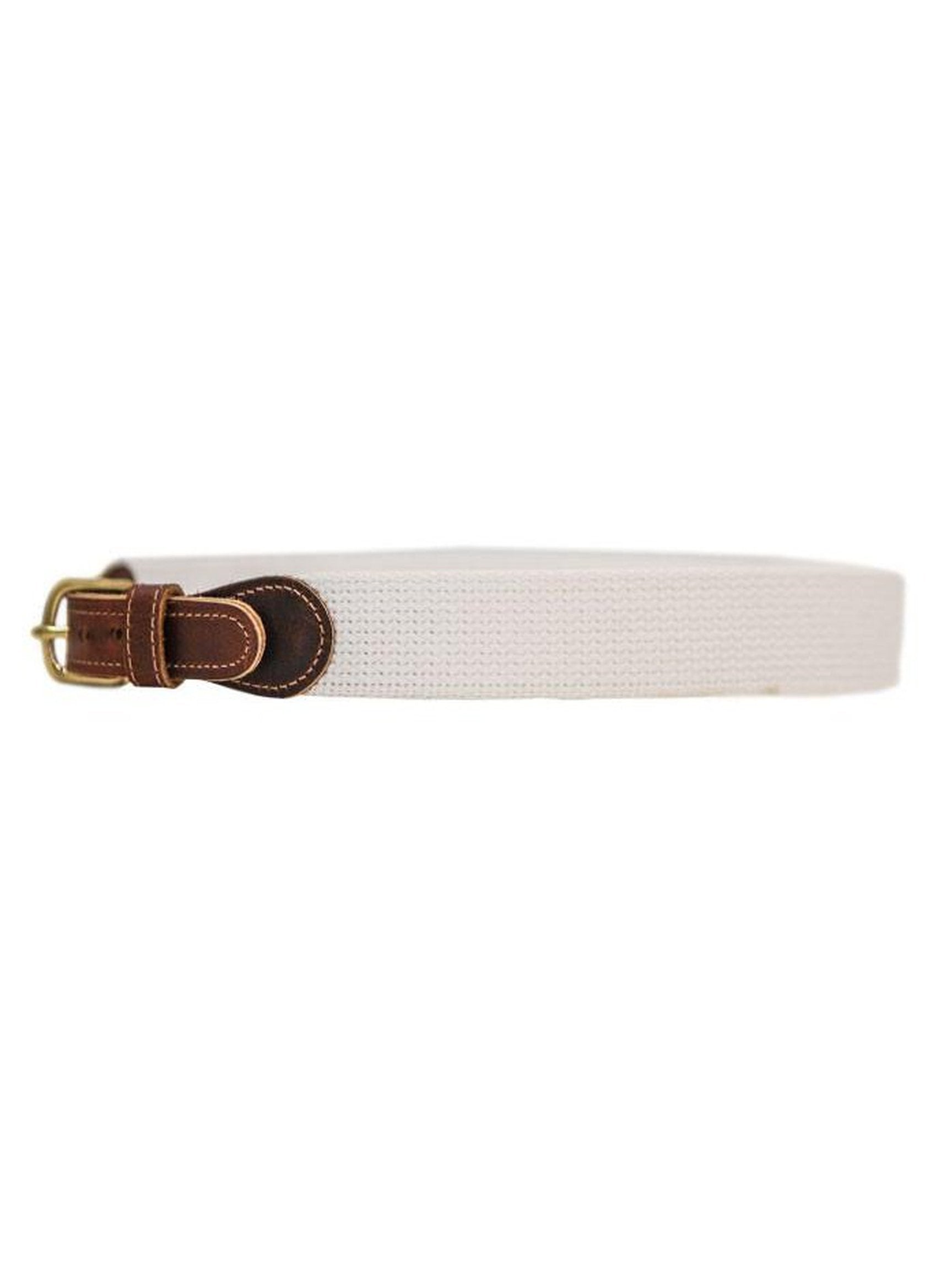 Buddy Belt-Solid Canvas