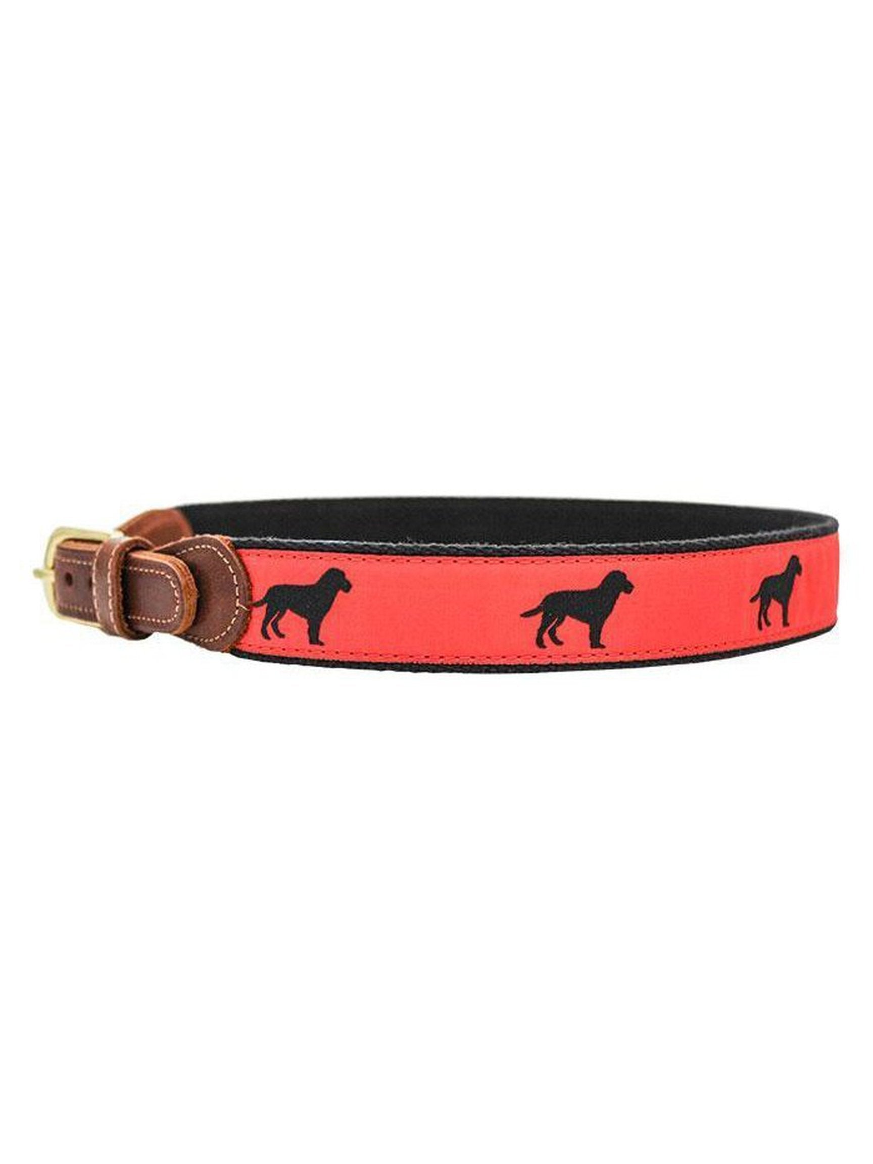 Buddy Belt - Prints