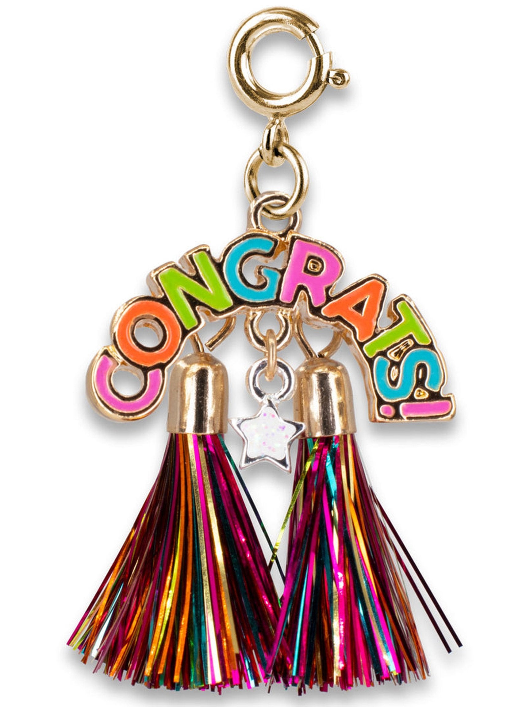 Charms - Holiday's & Celebrations!