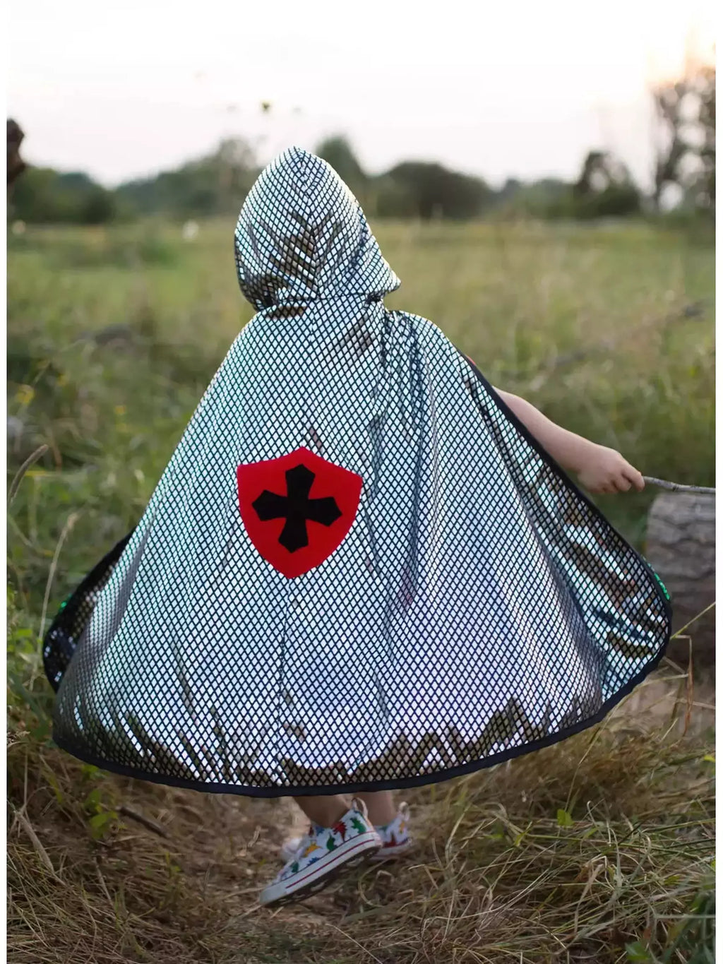 Dragon/Knight Reversible Cape