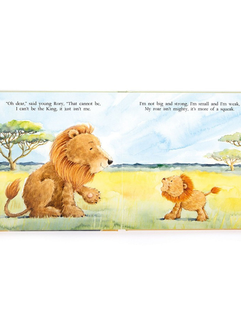 The Very Brave Lion Book