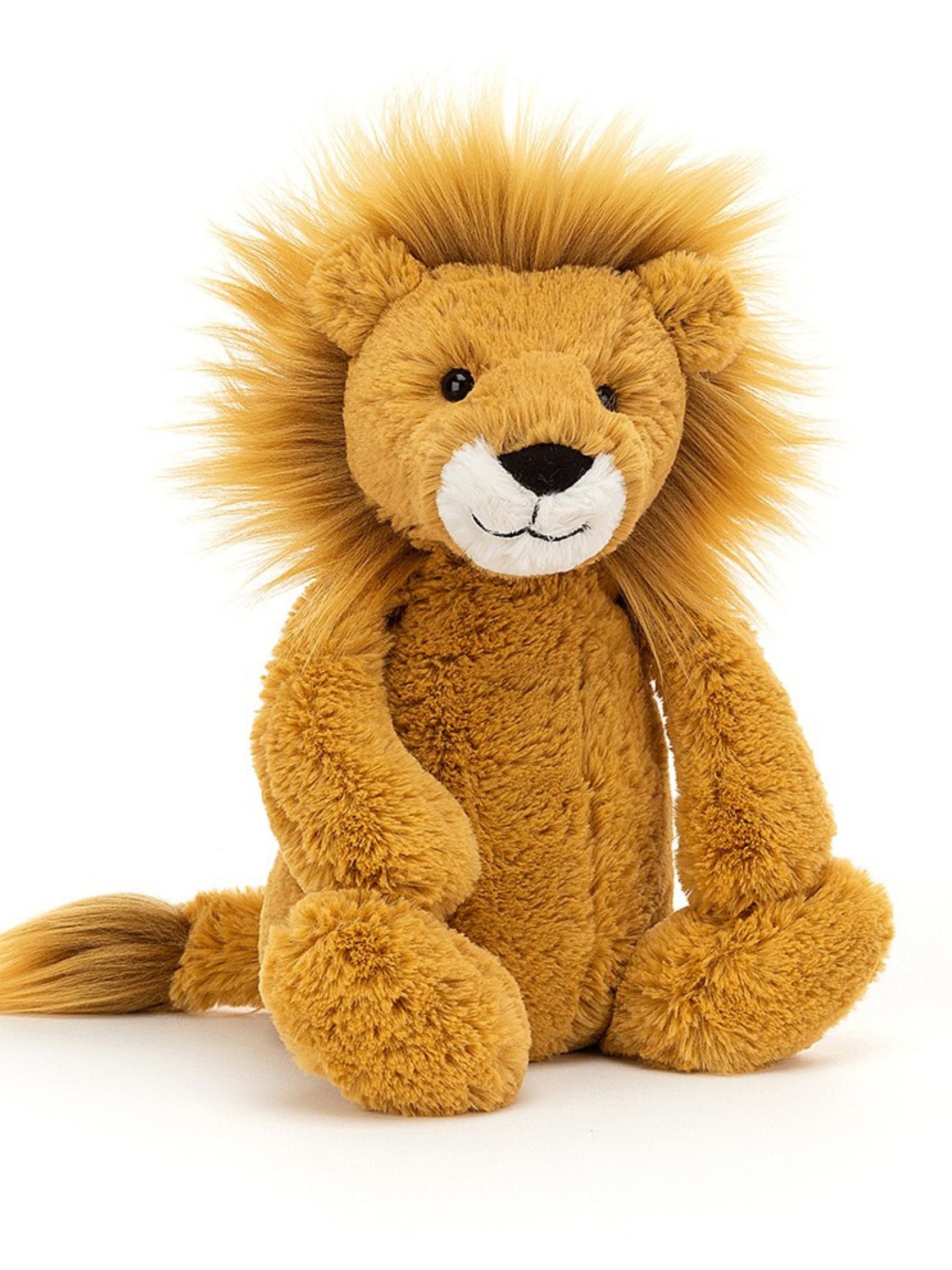 If I Were a Lion Book