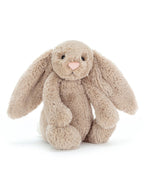 Bashful Bunny