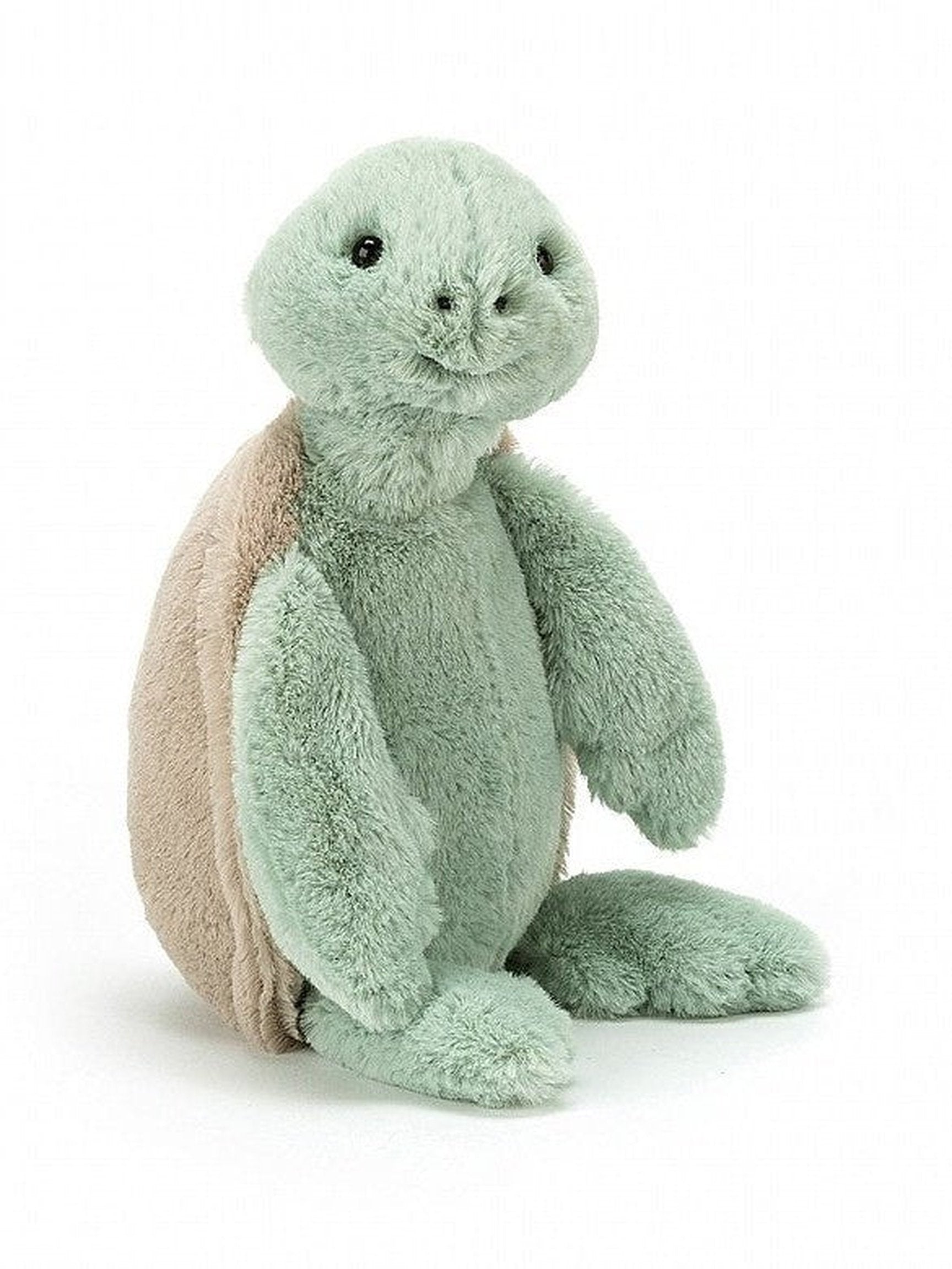 Bashful Turtle, Medium