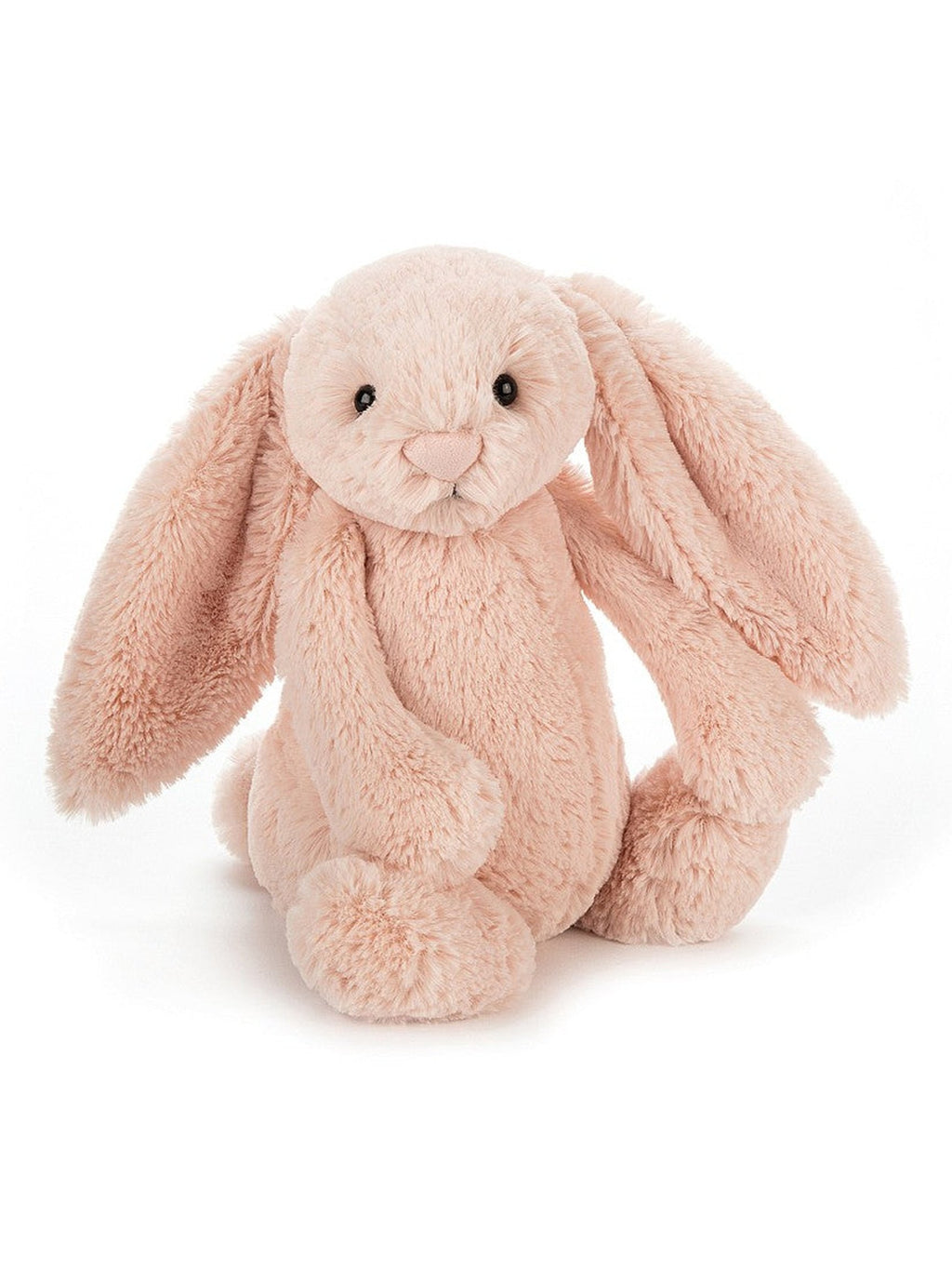 Bashful Bunny