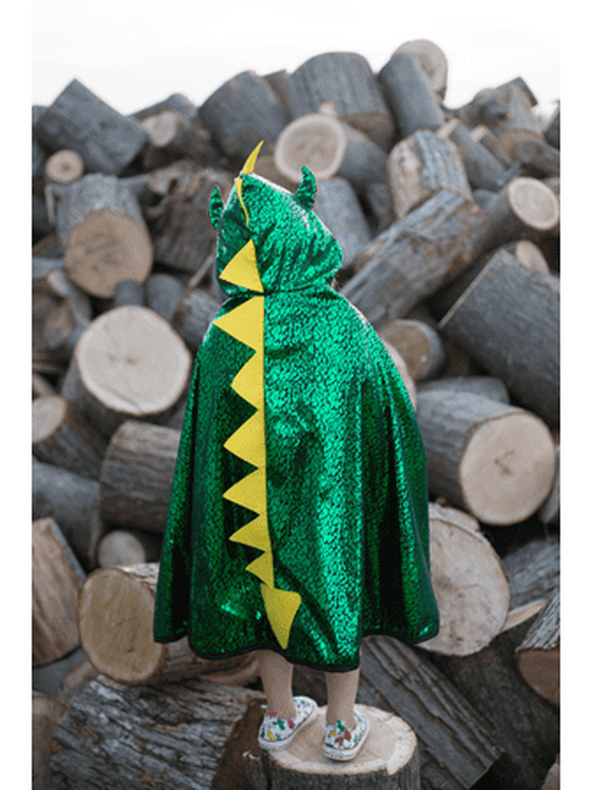 Reversible Dragon and Knight Cape