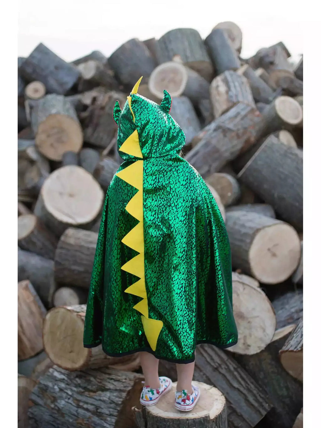 Dragon/Knight Reversible Cape