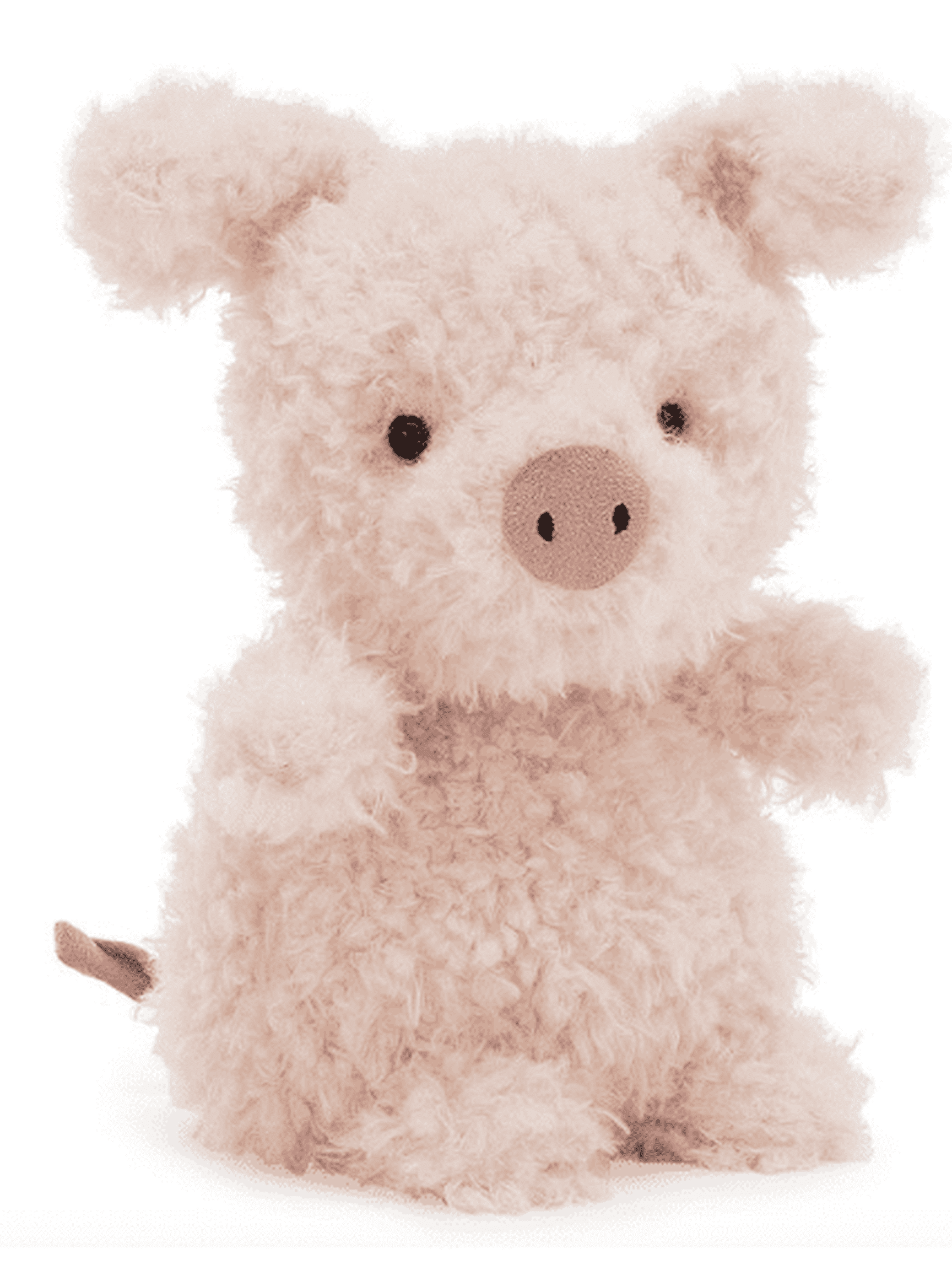 Little Pig