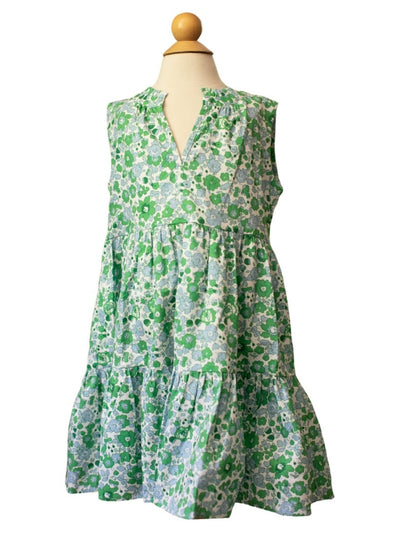 Quinn Dress - Blue & Green Libba Floral