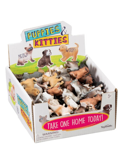 Mini Puppies & Kitties
